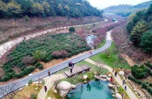 乡村候车亭成为农村的新风景，新农村建设的“标配”